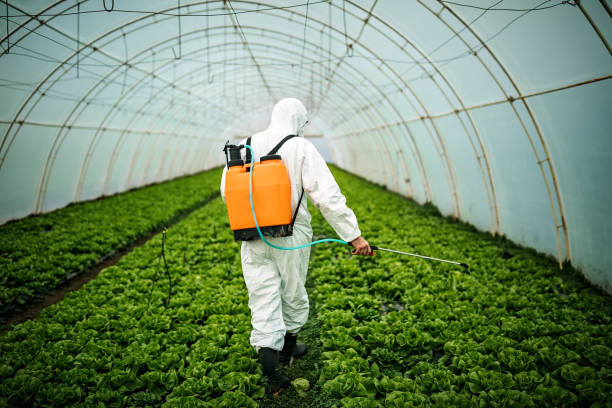 Best Pest Removal Services  in Exmore, VA