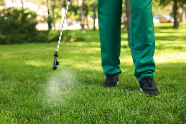 Reliable Exmore, VA Pest Control Solutions