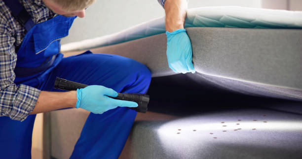 Best Termite Control Services  in Exmore, VA